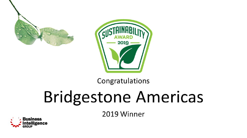bridgestone Americas 2019 winner of sustainability award